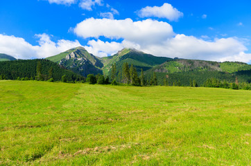 Fototapeta premium Green summer landscape of Tatra Mountains in Zdiar, Slovakia