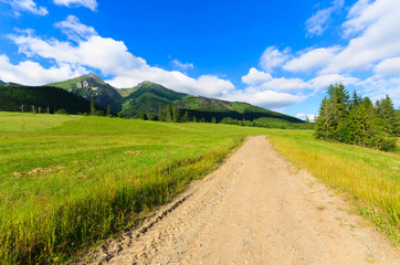 Road in green summer landscape of Tatra Mountains, Slovakia