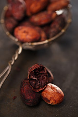 roasted cocoa chocolate beans