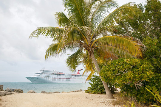 Cruise Ship By The Beach With Palm Trees