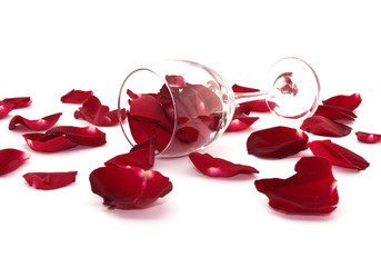 Rose petals, glass on a white. Love concept, selective focus