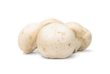 Fototapeta na wymiar fresh mushroom champignon isolated on white background
