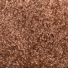 Flax seed