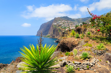 Tropical plants on coast of Madeira island in summer, Portugal © pkazmierczak