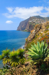Tropical plants on coast of Madeira island in summer, Portugal © pkazmierczak
