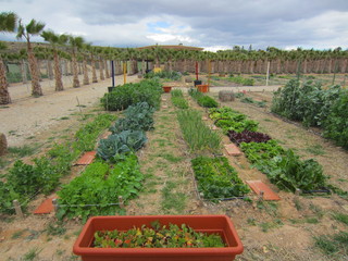 ecological organic gardening