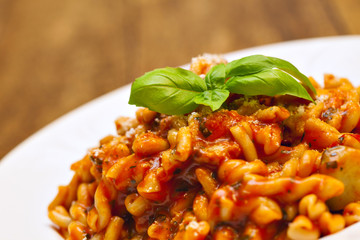 Gemelli pasta with homemade tomato and zucchini sauce
