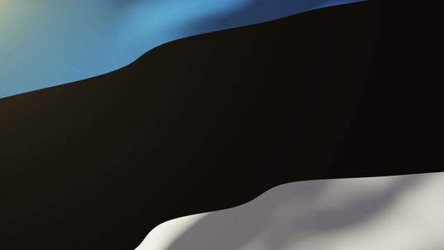 Estonia flag waving in the wind. Looping sun rises style