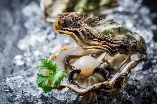 Tasty oyster in shell on ice