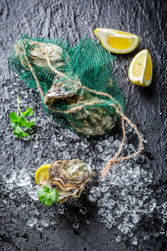 Delicious oysters on ice with lemon