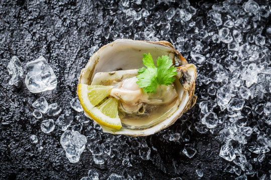 Delicious oysters on crushed ice with lemon