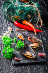 Freshly caught mussels on crushed ice