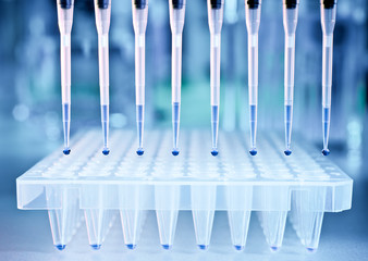 DNA samples and a plate for PCR analysis