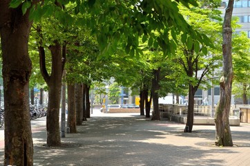 大阪　駅ビル前の歩道