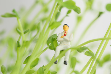 若葉とビジネスマン