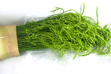 Acacia pennata - Cha-om Thai Food