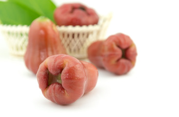 rose apple isolated on white background