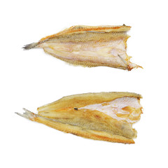 dried y fish isolated on white background