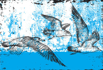 Obraz premium Seagulls flying