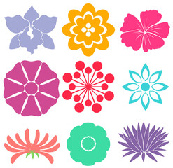 Floral templates