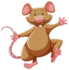 Playful little creature