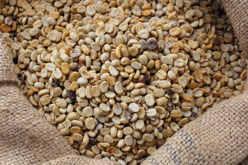 raw coffee beans in a sack