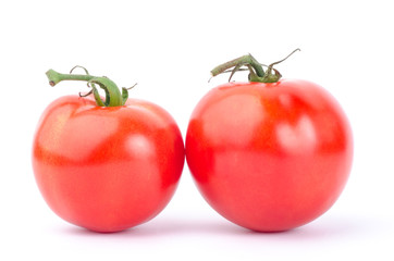 Fresh tomatoes on white background