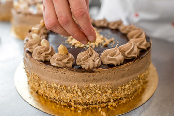 Making biscuit cake