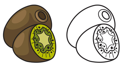 colorful and black and white kiwi for coloring book