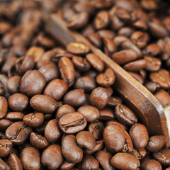 coffee beans