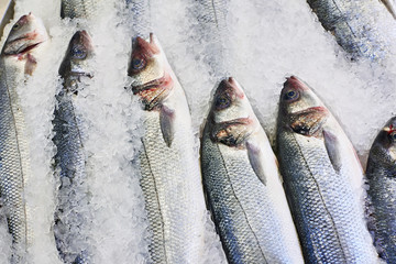 Fish on ice in supermarket store