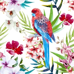 Behang Papegaai Tropisch vogelpatroon