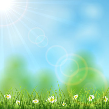 Nature background with Sun and grass