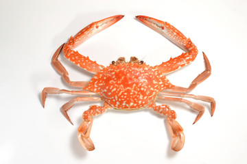 Flower crab