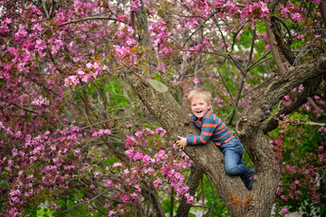 Boy on the tree