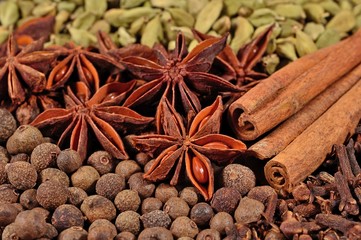 Heap of different dry spices