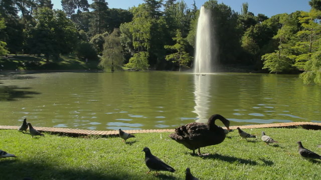 El Retiro Park Madrid Spain Fountain