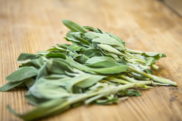 Salbei und B&uuml;ndel aus Salbeibl&auml;ttern