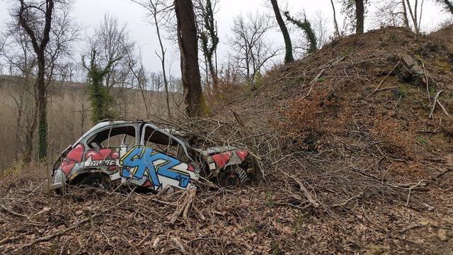 Fagocitata dai cespugli