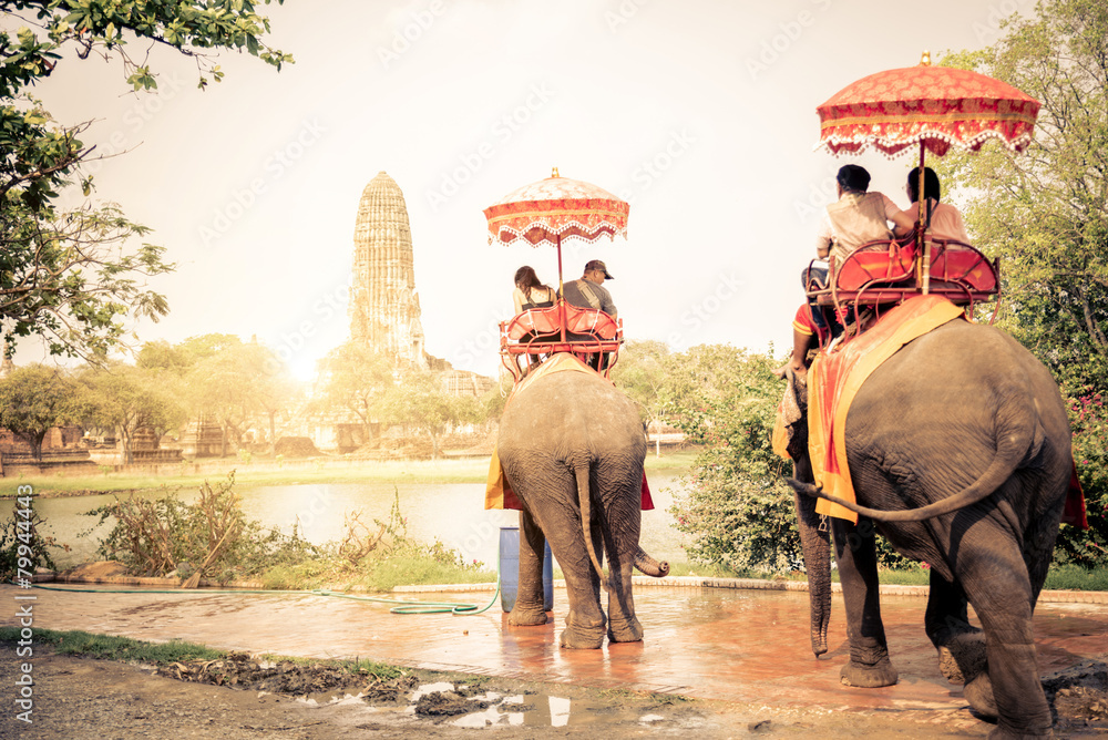 Wall mural Elephants in Ayutthaya