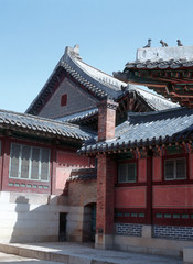 Fototapeta premium 풍경이미지