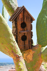 Bird cage.
