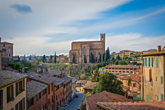 Guardando la Basilica