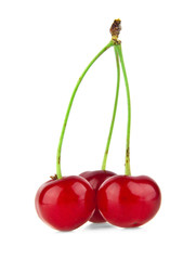 cherry