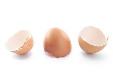 eggs shell isolated