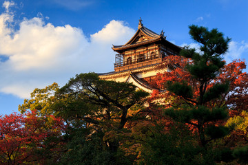 Naklejka premium Hiroshima castle, Japan