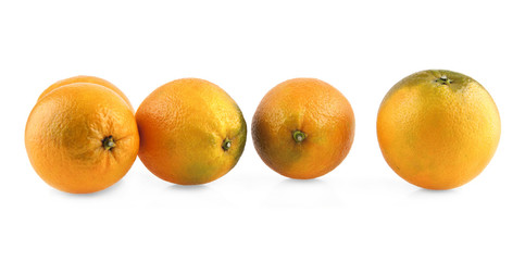 oranges