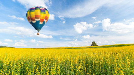 Naklejka premium Hot air balloon over yellow flower fields against blue sky