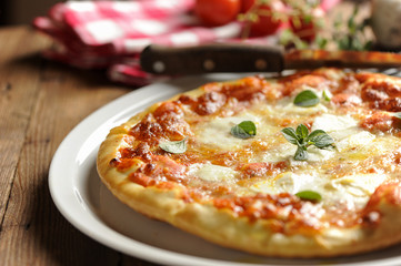 Pizza Margherita