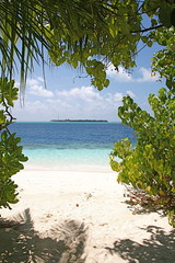Tropischer Strand